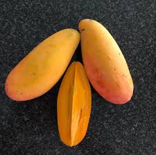 Dwarf King thai mangoes 4L (tropical trees)
