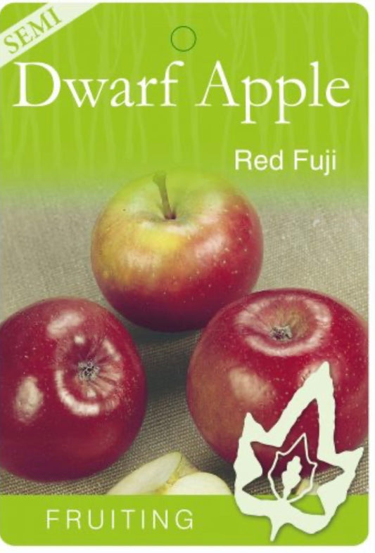 Semi Dwarf Apple Red Fuji(stone fruit)