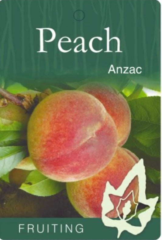 Peach Anzac (stone fruit)